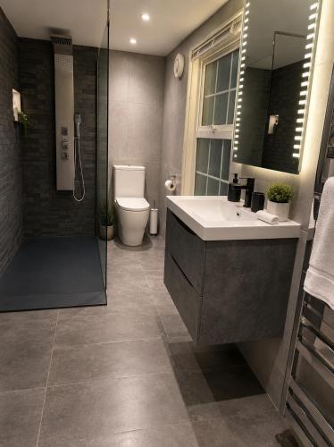 a bathroom with a sink and a shower and a toilet at 5-bed house with indoor pool, Jacuzzi &Downs views in Herstmonceux