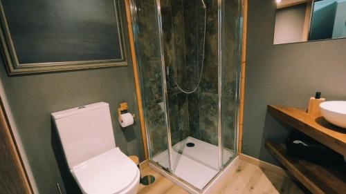 a bathroom with a shower and a toilet and a sink at Quinta de Linhares in Oliveira