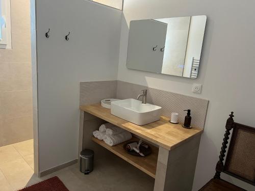 a bathroom with a sink and a mirror at Gîte du Grand Frêne in Nérac