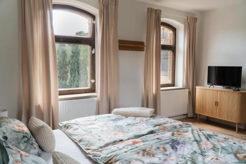 a bedroom with a bed and a tv and two windows at "LOKAL" Apartment 2 in Bad Muskau