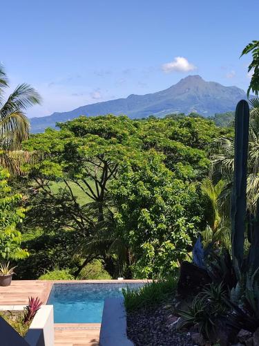 a swimming pool with a view of a mountain at VillAnolis in Le Carbet