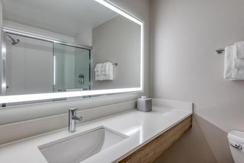 a white bathroom with a sink and a mirror at Holiday Inn Express - Rensselaer by IHG in Rensselaer