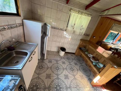 a small kitchen with a sink and a refrigerator at Cabañas Rayen Lemu in Panguipulli
