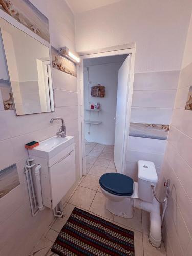 a small bathroom with a toilet and a sink at Studio Arawak in Deshaies