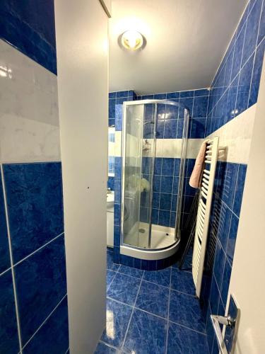 Entire apartment near Eiffel Tower
