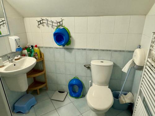 a bathroom with a toilet and a sink at Chalupa U Potoka in Josefŭv Dŭl