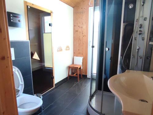 a bathroom with a shower and a toilet and a sink at Wolkenheim in Hohentauern