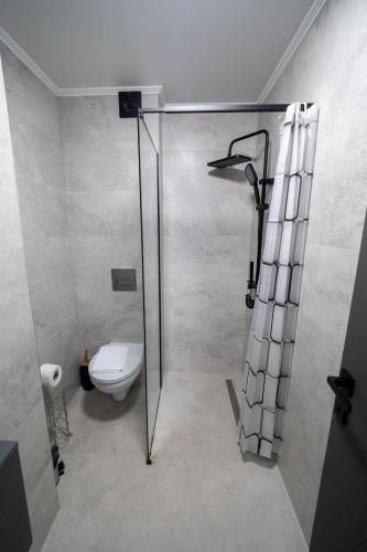 a bathroom with a shower and a toilet at NORTH GATE Rooms in Afumaţi