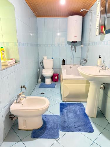 a bathroom with a toilet and a sink and a tub at Kulla e Vjetër ,Vermosh in Vermosh