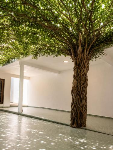 a tree in the middle of a room at Casa Sierra Norte in Zacatlán