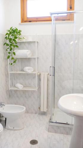 a bathroom with a shower and a toilet and a sink at Affittacamere San Nicola in Montella