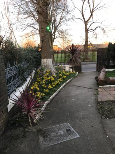 a tree and some yellow flowers next to a sidewalk at A Gosport Inn - Free Private Parking in Gosport