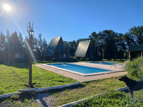 a dog standing in front of a swimming pool at Complejo del Canton Valais in Baradero