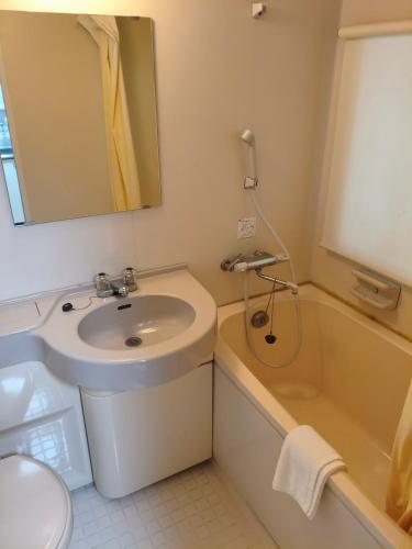 a bathroom with a sink and a mirror and a tub at Guest House Aki in Nichinan