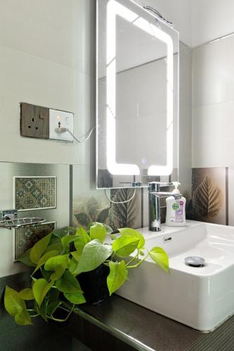 a bathroom with a sink and a mirror and a plant at The Canapy Nest Ella in Ella