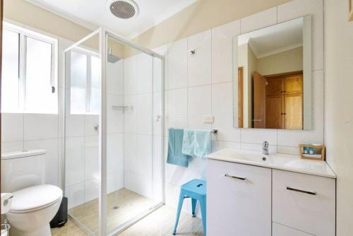 a bathroom with a shower and a toilet and a sink at Far View - Pets, Linen, Wi-Fi, Netflix, Caravan, EV in Venus Bay