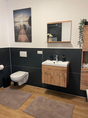 a bathroom with a toilet and a sink and a mirror at Demhouse in Gössenheim