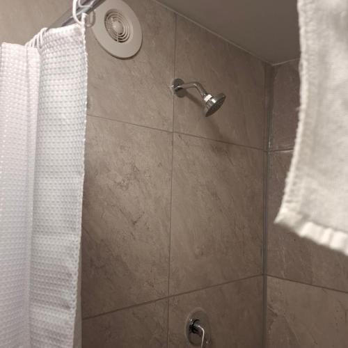 a shower with a shower head and a shower curtain at 2 Bedroom garden chalet in Rotorua