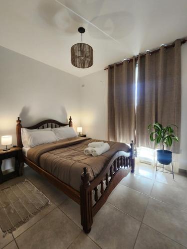 a bedroom with a large bed and a potted plant at Bohemian dream in Ezeiza