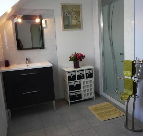 uma casa de banho com um lavatório e um espelho em Chambre d'hôtes Le Pot au Lait em Villaines-la-Juhel