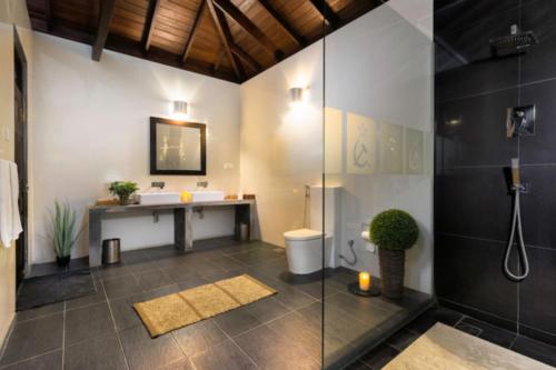 a bathroom with a shower and a sink and a toilet at Villa Republic River View Bentota in Aluthgama