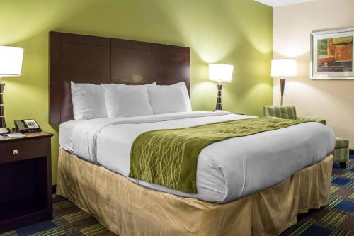 a large bed in a hotel room with two lamps at Econo Lodge Ankeny - Des Moines in Ankeny