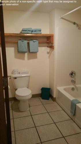 a bathroom with a toilet and a bath tub at Meadowbrook Resort in Wisconsin Dells