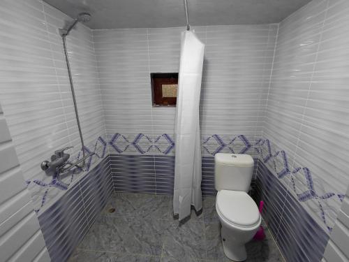 a white bathroom with a toilet and a shower at Rahima's Guest House in Tadzhimi