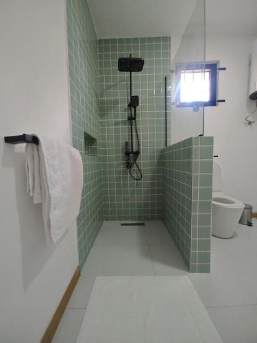 a green tiled bathroom with a shower and a toilet at Isola Riambel in Riambel