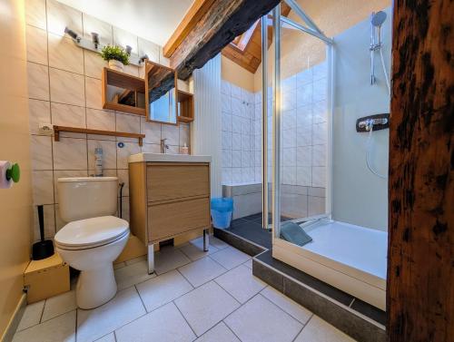 a bathroom with a toilet and a shower at Le Chalet Cozy & Spa in Wildersbach