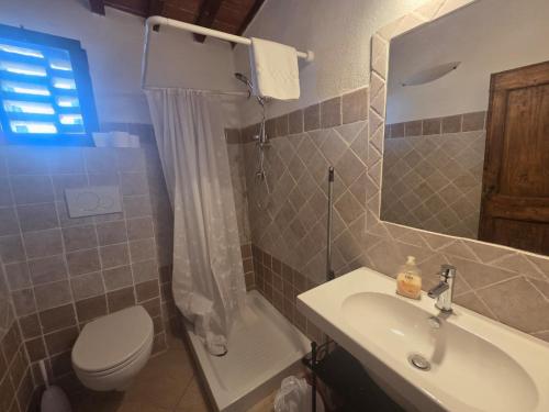 a bathroom with a sink and a toilet and a mirror at Tenuta Il Tresto in Poggibonsi