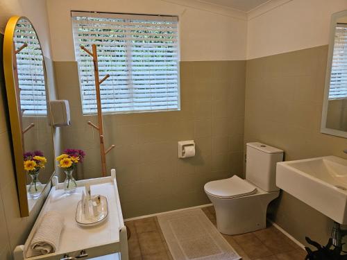 a bathroom with a toilet and a sink and a mirror at Woodpecker cottage in Hartbeespoort