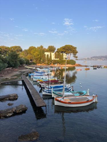 Le Pavillon du Cap d'Antibes photo 61