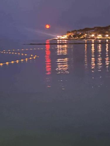 Le Pavillon du Cap d'Antibes photo 63