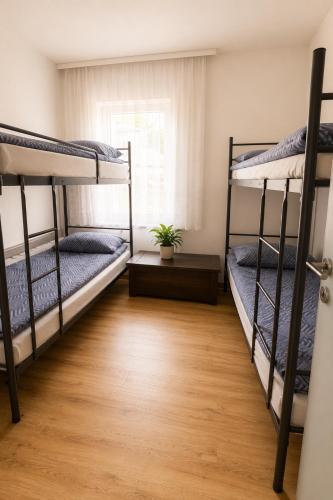 two bunk beds in a room with a wooden floor at Pokoje Bielsko in Bielsko-Biała