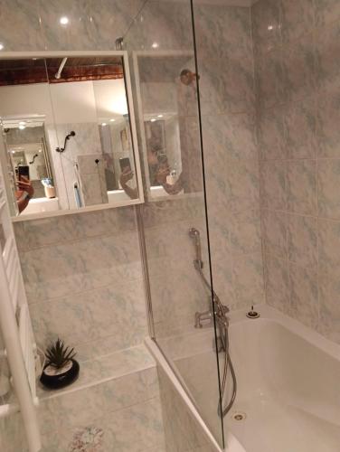 a bathroom with a shower and a bath tub with a shower at Le cocon de Barcelonnette in Barcelonnette