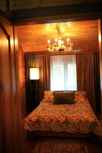 a bedroom with a bed with a chandelier and a window at Садиба Володар in Kosiv