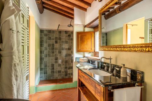 a bathroom with a sink and a shower at Borgo Vescine in Radda in Chianti