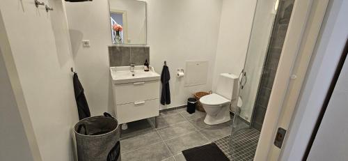 a bathroom with a toilet and a sink and a shower at Stora Beddinge - Moon apartment in Klagstorp