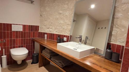 a bathroom with a sink and a toilet at Colombier de Scandaillac in Saint-Eutrope-de-Born