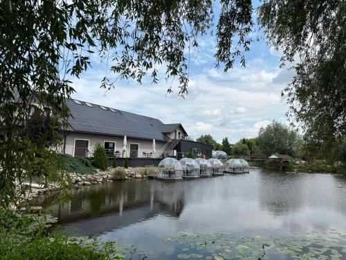 a pond with domes in front of a house at Hotel Nenufar in Kościan
