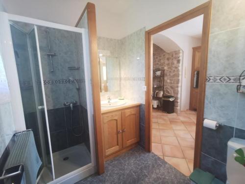 a bathroom with a shower and a sink at Bergerie de la buèges in Saint-André-de-Buèges