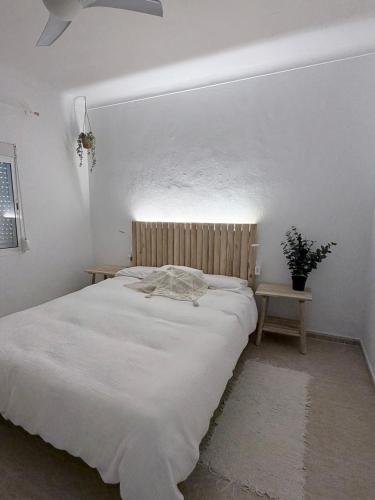 Surf And Sun House Conil