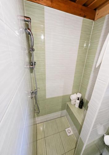 a bathroom with a shower with a glass door at Chata Huta in Muránska Huta