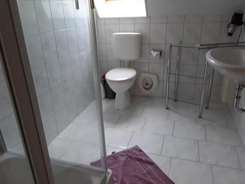 a small bathroom with a toilet and a sink at Tor zum Darss in Pruchten