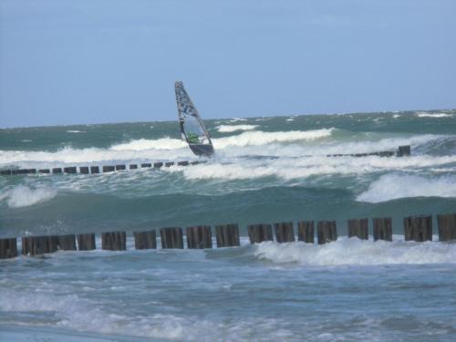 a sail boat in the waves in the ocean at Tor zum Darss in Pruchten