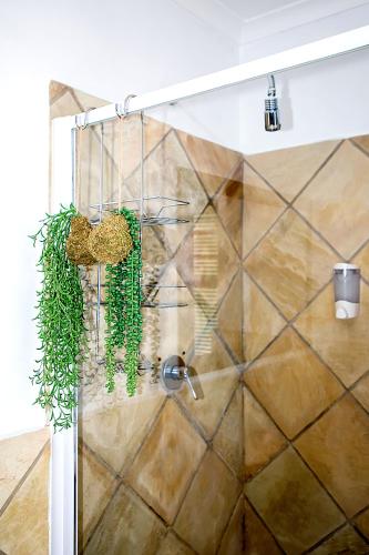 a bathroom with a shower with plants on the wall at Abalone Guest House in Port Elizabeth