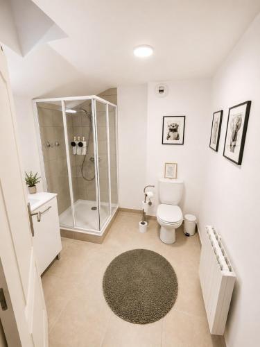 a white bathroom with a shower and a toilet at Ribeirinha Guesthouse in Guarda