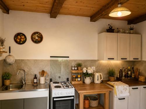 a kitchen with a sink and a stove top oven at Country house in nature -10 min from Nikola Tesla Memorial Center-peace and privacy in Klanac