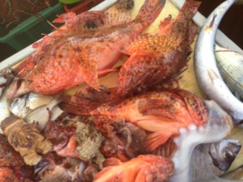 un montón de cangrejos y peces en un plato en Apartment Žarko, en Brna